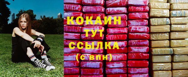 ГАЛЛЮЦИНОГЕННЫЕ ГРИБЫ Каменка