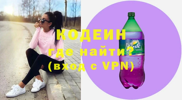 мдпв Инта