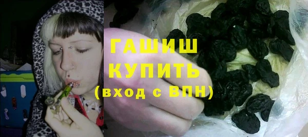 ГАЛЛЮЦИНОГЕННЫЕ ГРИБЫ Каменка