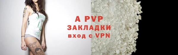 ГАЛЛЮЦИНОГЕННЫЕ ГРИБЫ Каменка