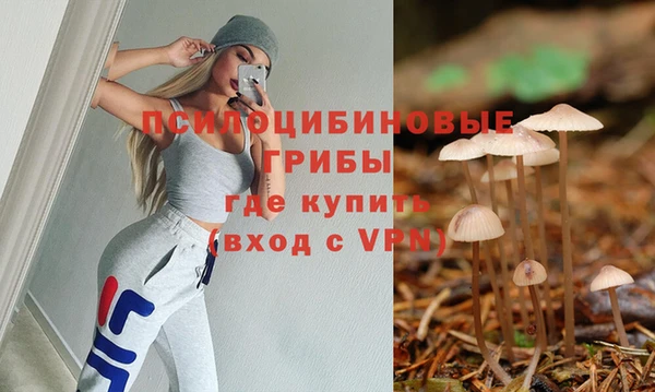 таблы Каменногорск
