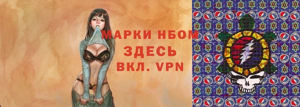 мдпв Инта