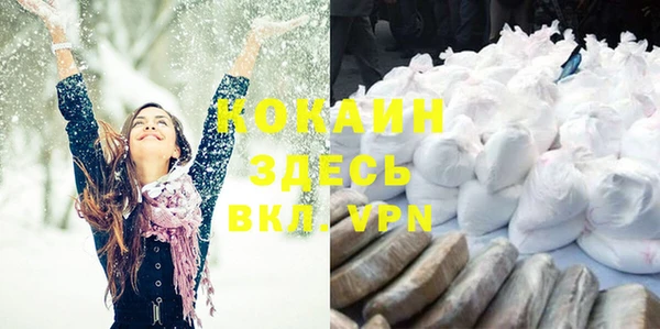 мдпв Инта