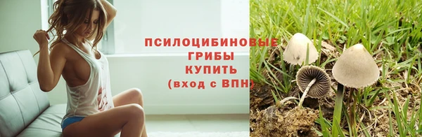 мдпв Инта