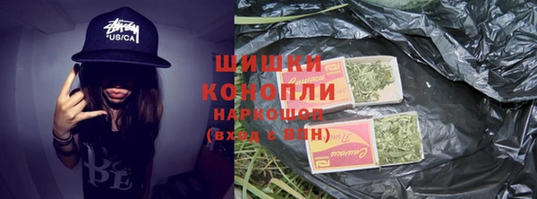 мдпв Инта