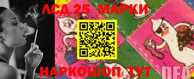 индика Норильск