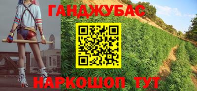 индика Норильск