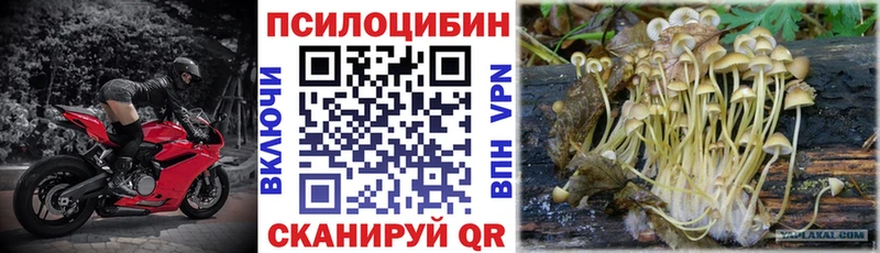 Псилоцибиновые грибы мухоморы  Купить закладки  Карасук 