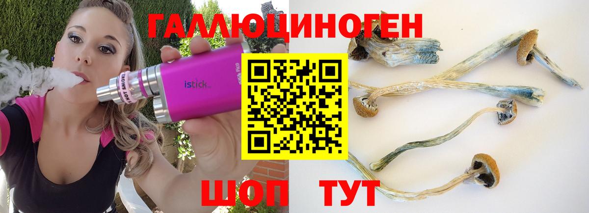 Карасук  дарнет шоп  Вход с VPN  Галлюциногенные грибы Cubensis 