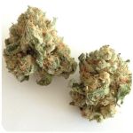 Шишки "White Widow"  (Белая вдова)  Гидропоника -  Бошка VHQ в Карасуке